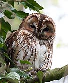 Chris Gilbert, Ravenseye Gallery, Peak District, Photographs, Courses